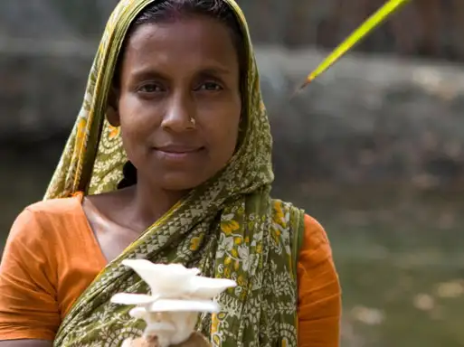 Asia - Bangladesh - laxmi