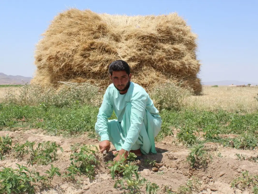 Afghanistan
