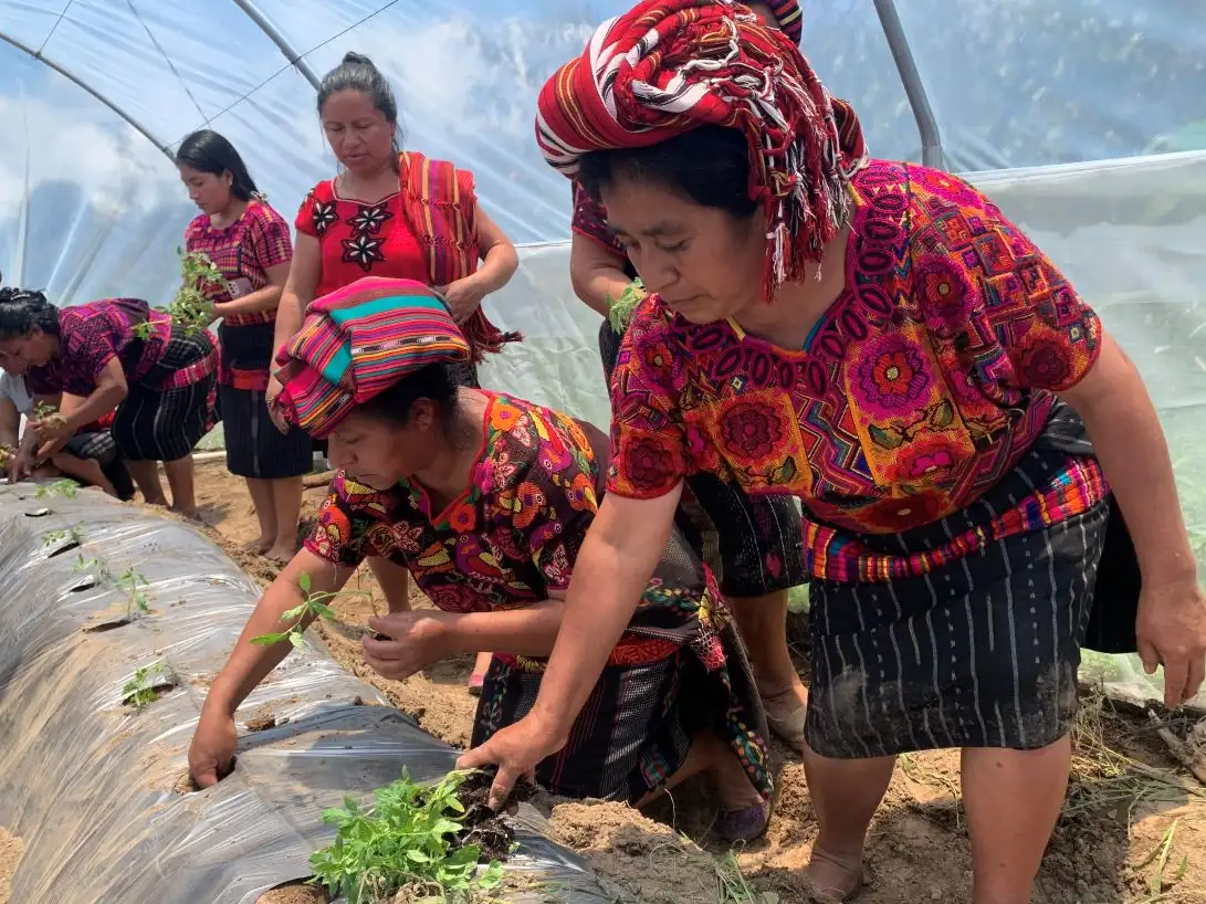 Guatemala