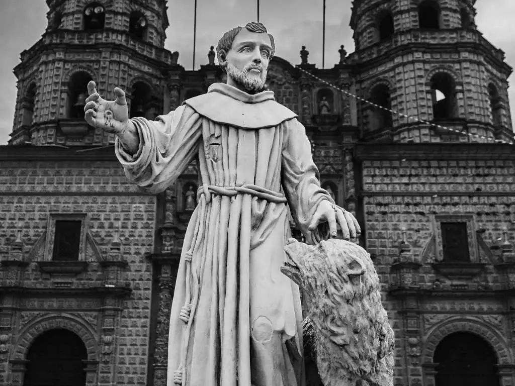 Year of St Francis