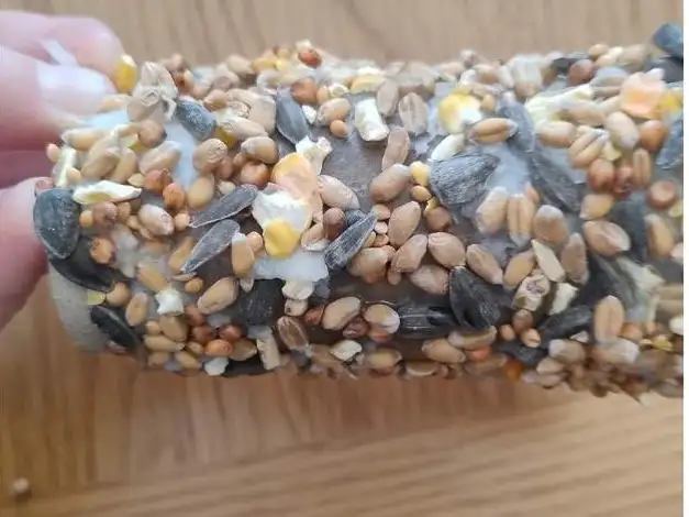 Bird feeder