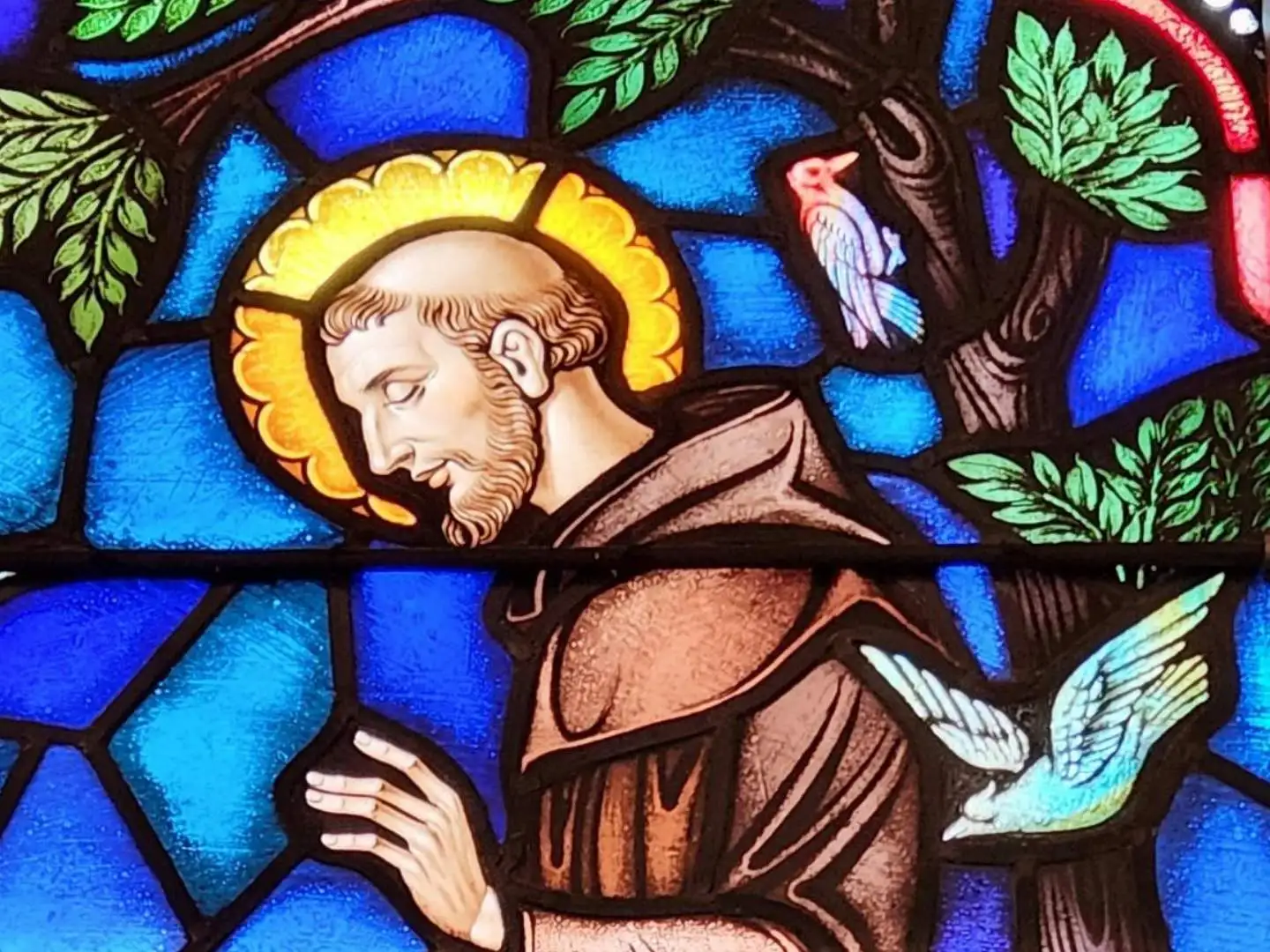 St Francis family prayer ideas