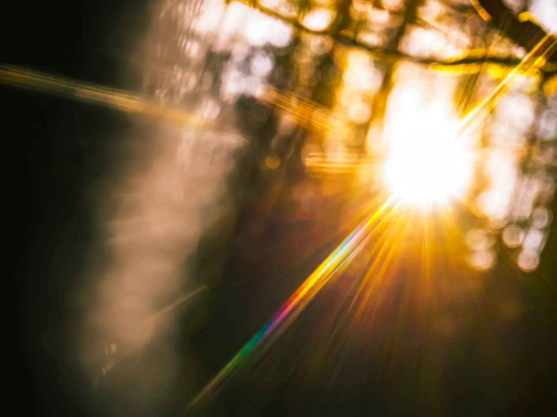 Image - Lent calendar 15 April