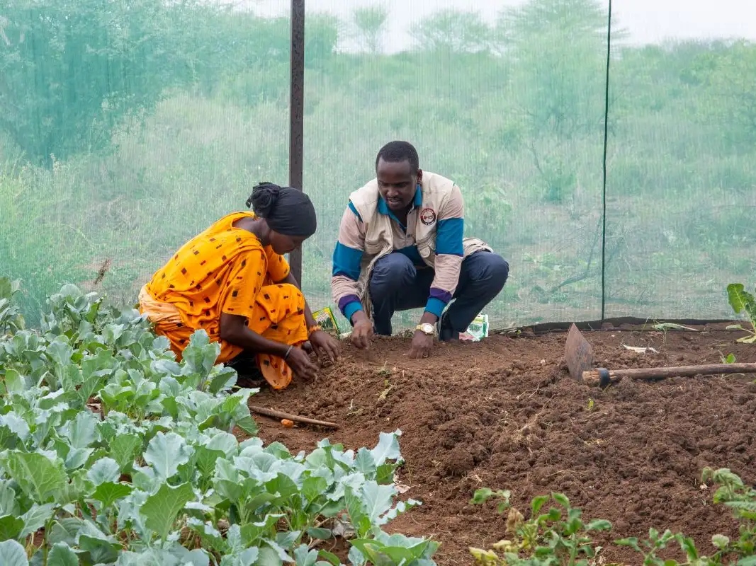 Africa - Kenya - Marasbit, Kenya