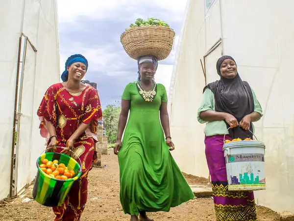 Africa - Sierra Leone - Sustainable farming with young people