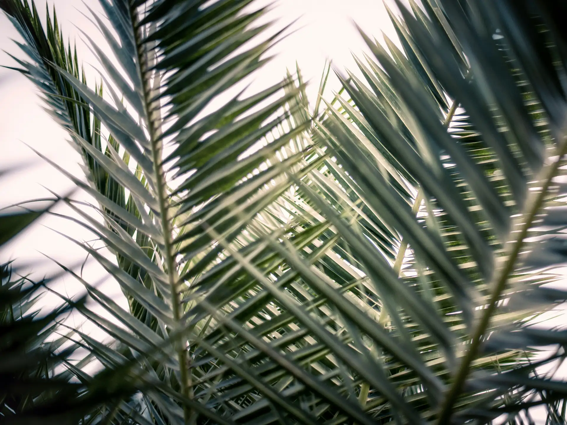 The way of the pilgrim in Holy Week