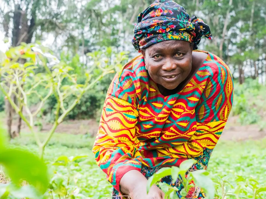 Play our Spring Raffle