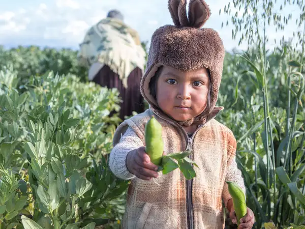 How to pay in your fundraising