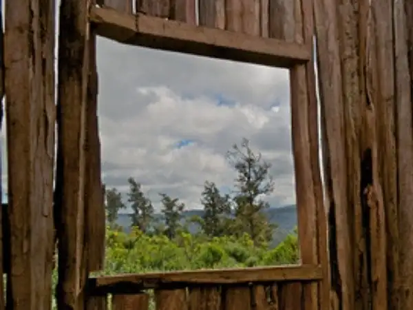 A night reflection for Maundy Thursday