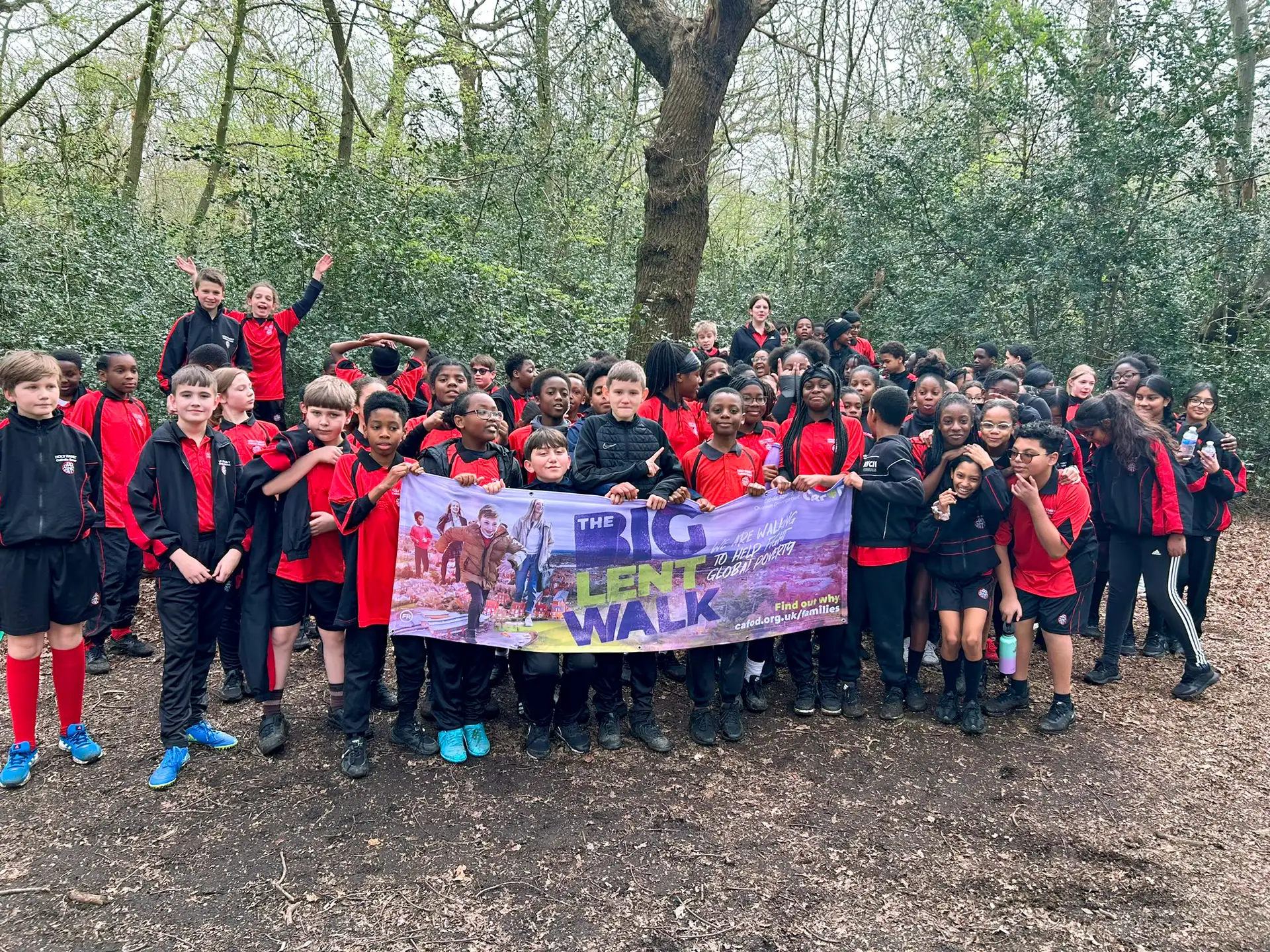 BLW Banner image
