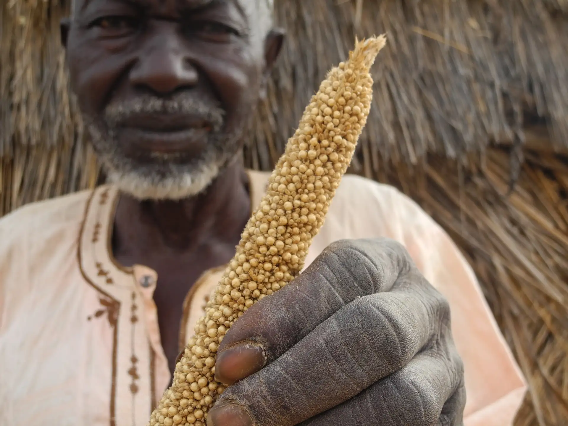 Africa - Niger - Hamani Fodi and millet