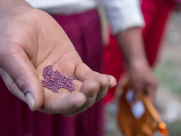 Prayers on food and hunger